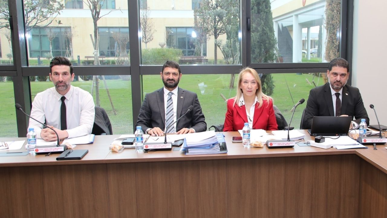 İdari, Kamu ve Sağlık İşleri Komitesi gündemindeki yasa tasarısını görüştü