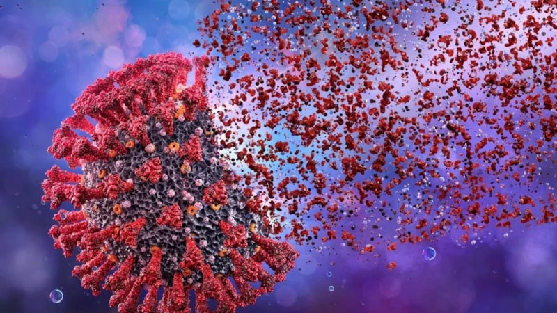 Bilim insanları koronavirüsün çaresini Brezilya’daki bir ağaçta buldu