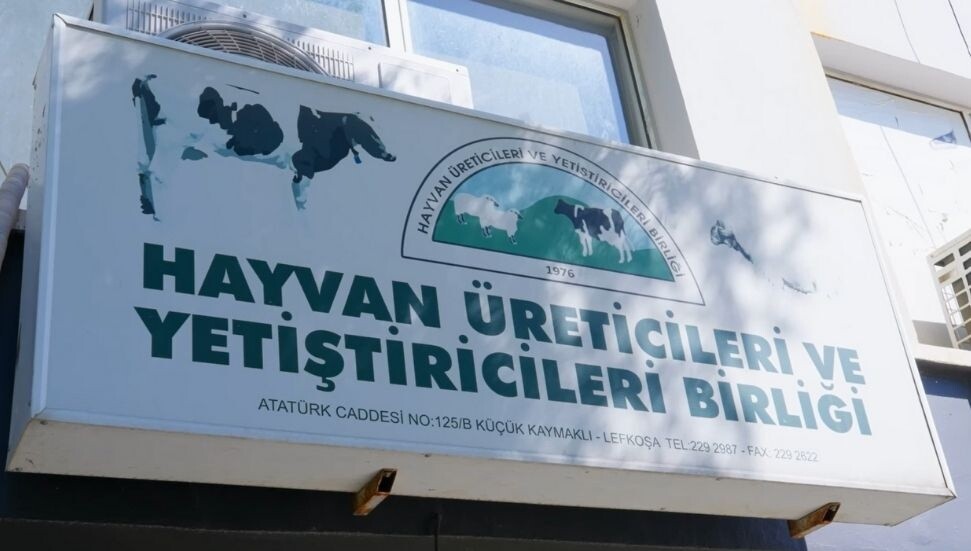 Hayvancılar Birliği’nden sert tepki: Bu sadece kaçakçılık değil, büyük bir rant zinciri